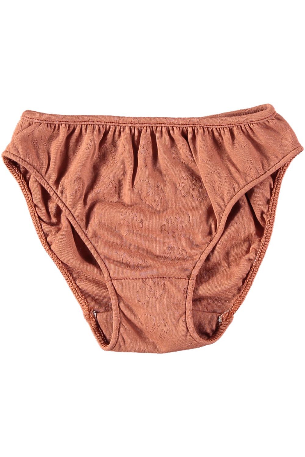 Son's four-corner super elastic panties pure white - Shop Grizzly Bear  Organic Cotton Pants - Pinkoi