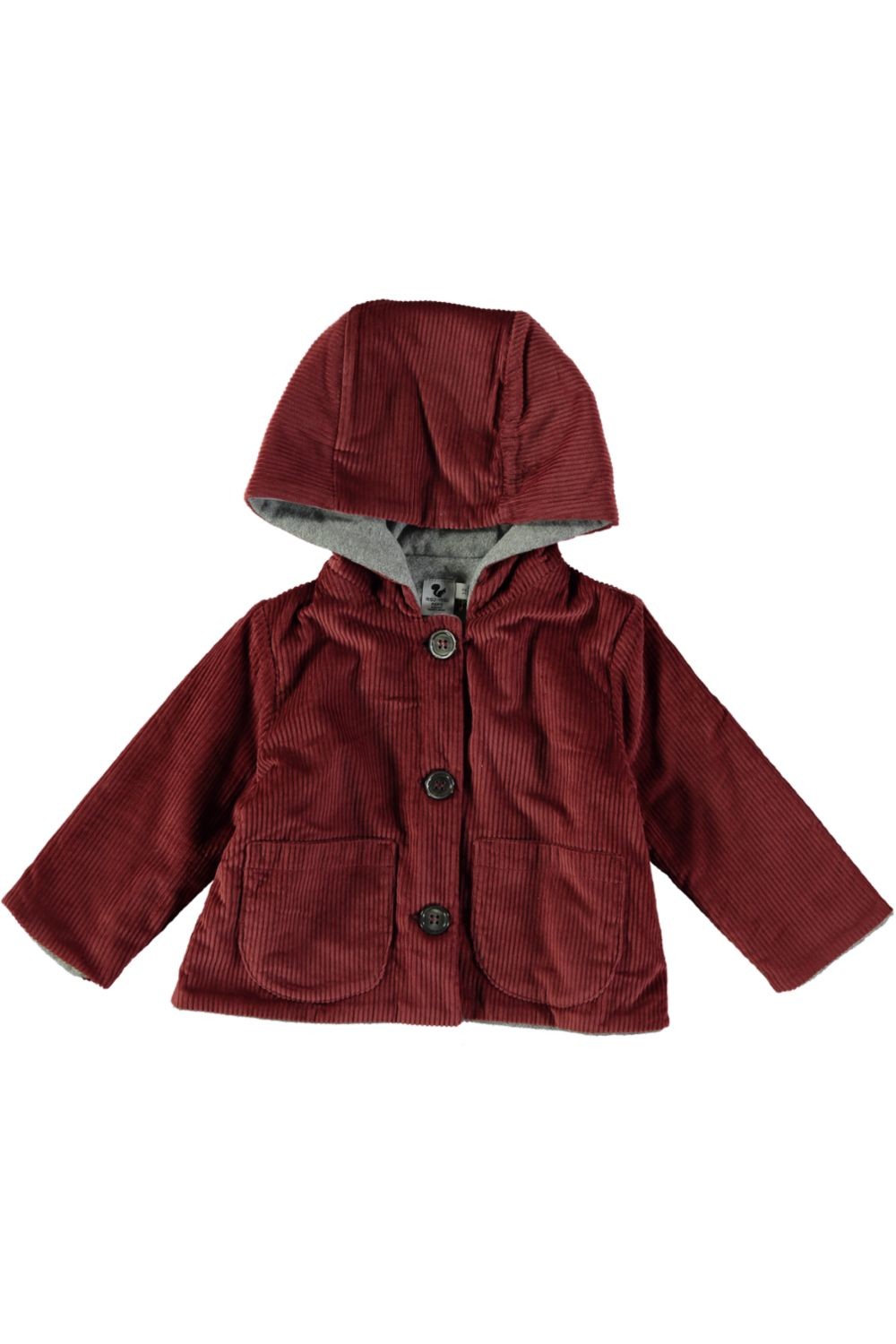 Baby winter Coat Orso